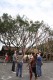Thumbs/tn_photo981111 (223).jpg